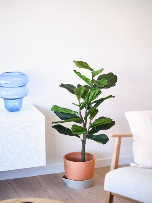 אוסטנדה Hugo By The Harbor, Light-Filled And Centrally Located Apartment - Free Parking מראה חיצוני תמונה